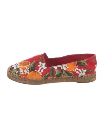 Pre-owned Dolce & Gabbana Carnation Print Espadrilles In Neutral