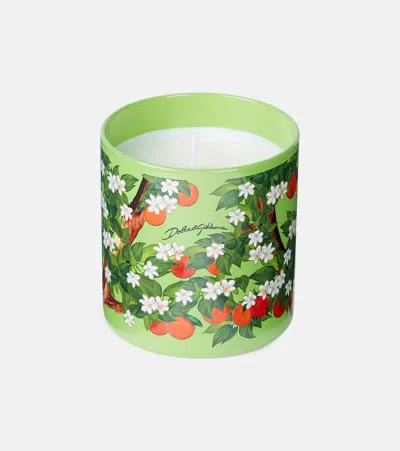 Dolce & Gabbana Casa Arancio Di Sicilia Scented Candle In Green