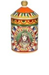 Dolce & Gabbana Casa Ceramic Wild Jasmine Scented Candle In Multicolor