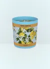 Dolce & Gabbana Casa Lemon Scented Candle In Blue