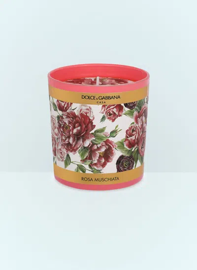Dolce & Gabbana Casa Musk Rose Scented Candle In Pink