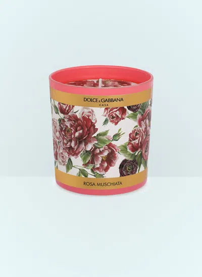 Dolce & Gabbana Casa Musk Rose Scented Candle In Multi