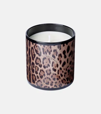 Dolce & Gabbana Casa Patchouli Scented Candle In Animal Print
