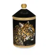 Dolce & Gabbana Casa Porcelain Patchouli Scented Candle