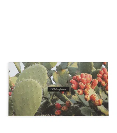 Dolce & Gabbana Casa Set Of 5 Greeting Cards In Green