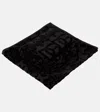 Dolce & Gabbana Casa Set Of 5 Jacquard Cotton Terry Towels In Black