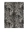 Dolce & Gabbana Casa Wool-silk Zebra Print Blanket