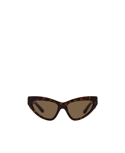 Dolce & Gabbana Cat-eye Frame Sunglasses In Brown
