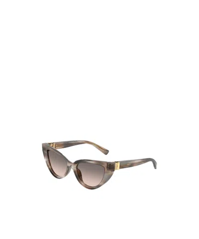 Dolce & Gabbana Cat-eye-frame Sunglasses In Gray
