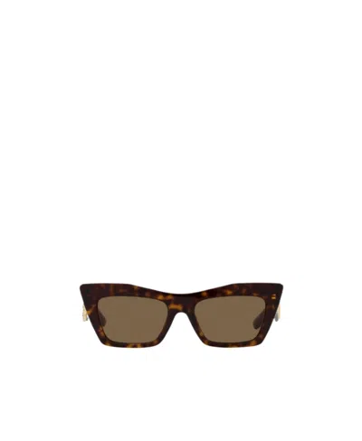 Dolce & Gabbana Dg4435 Cat-eye Frame Acetate Sunglasses In Brown / Dark
