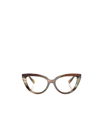 Dolce & Gabbana Cat's Eye Glasses