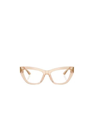 Dolce & Gabbana Cat's Eye Plain Glasses In Neutral