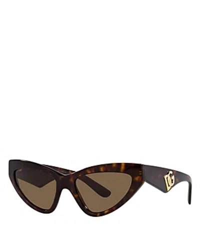 Dolce & Gabbana Cat Eye Sunglasses, 55mm In Havana