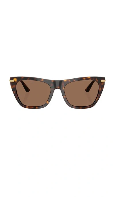 Dolce & Gabbana Cat Eye Sunglasses In Brown