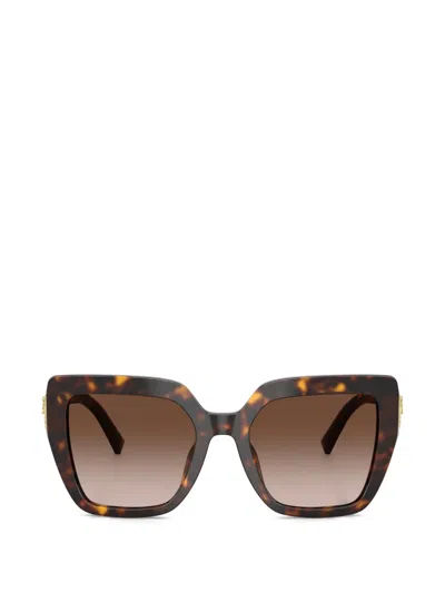 Dolce & Gabbana Dolce&gabbana 54mm Square Sunglasses In Brown