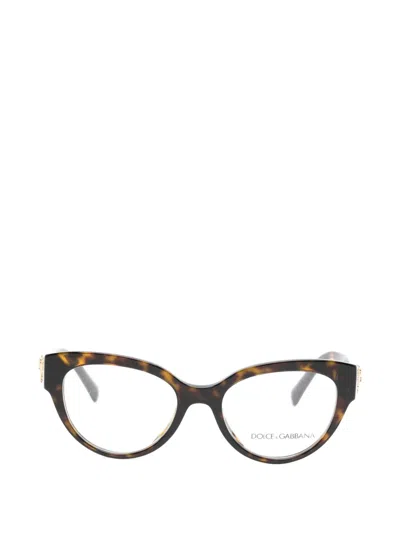 Dolce & Gabbana Cat-eye Glasses In Brown