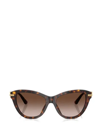 Dolce & Gabbana Cat-eye Sunglasses In Brown
