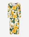 Dolce & Gabbana Floral Silk-blend Midi Dress In Stampa