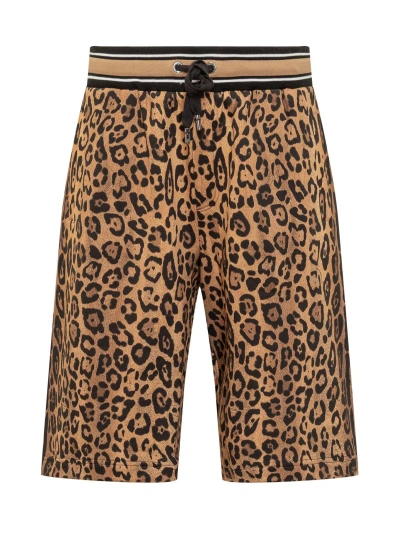 Dolce & Gabbana Cheetah-print Track Shorts In Brown