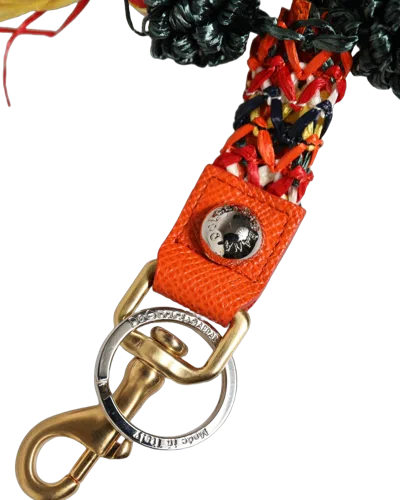 Dolce & Gabbana Clasp Finder Key Case In Multicolor