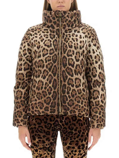 Dolce & Gabbana Leopard-print Padded Jacket In Multicolour