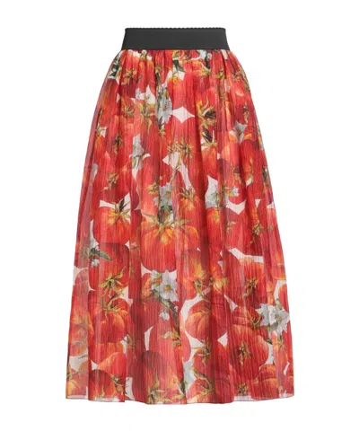 Dolce & Gabbana Colorful Skirt In Red