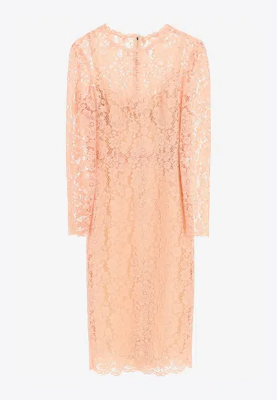 Dolce & Gabbana Cordonetto Lace Midi Dress In Neutral