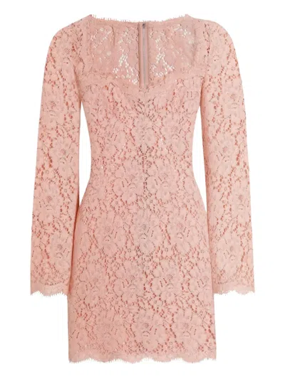 Dolce & Gabbana Cordonetto Lace Mini Dress In Pink