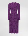 Dolce & Gabbana Cordonetto Lace Sheath Dress In Purple