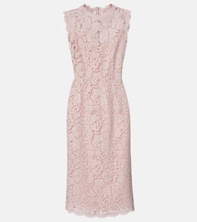 Dolce & Gabbana Cotton-blend Lace Cocktail Dress In Pink
