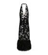 Dolce & Gabbana Cotton-blend Lace Feather-trimmed Maxi Dress In Black