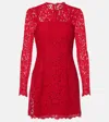 Dolce & Gabbana Cotton-blend Lace Minidress In Rot