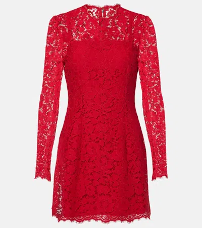 Dolce & Gabbana Cotton-blend Lace Minidress In Rot