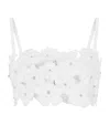 Dolce & Gabbana Hollow Bra In Multi