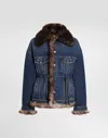 Dolce & Gabbana Fur-trimmed Denim Jacket In Blue