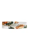 Dolce & Gabbana Floral-print Headband In Multi