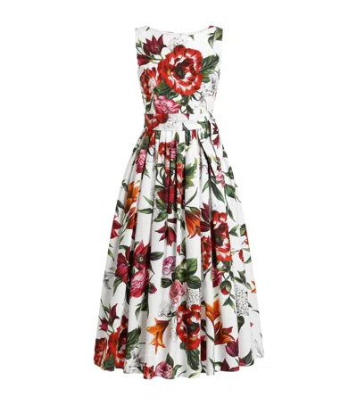 Dolce & Gabbana Cotton Floral Print Midi Dress In White