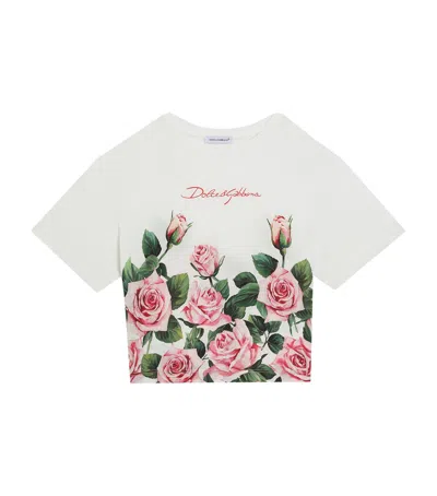 DOLCE & GABBANA COTTON LOGO ROSE T-SHIRT