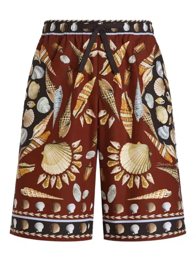 Dolce & Gabbana Cotton-poplin Shorts In Brown