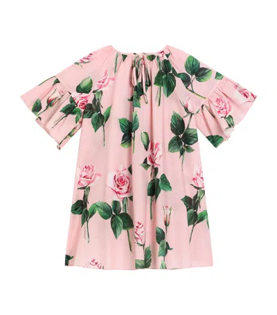 DOLCE & GABBANA COTTON ROSE PRINT DRESS