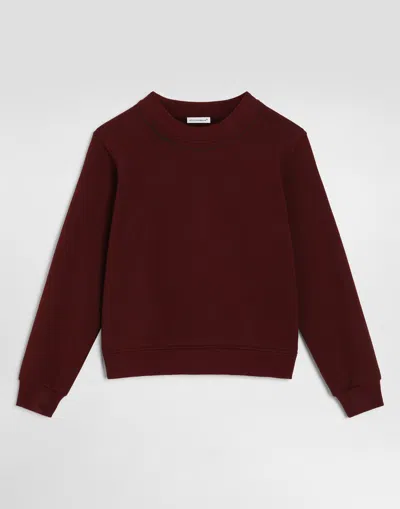 Dolce & Gabbana Kids' Cotton Sweatshirt With Logo In Burgundy