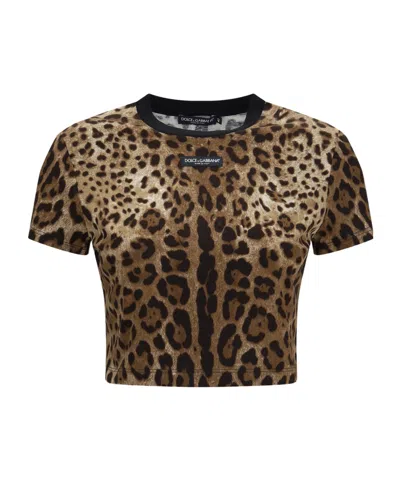 Dolce & Gabbana Crew Neck Short-sleeved T-shirt In Multi