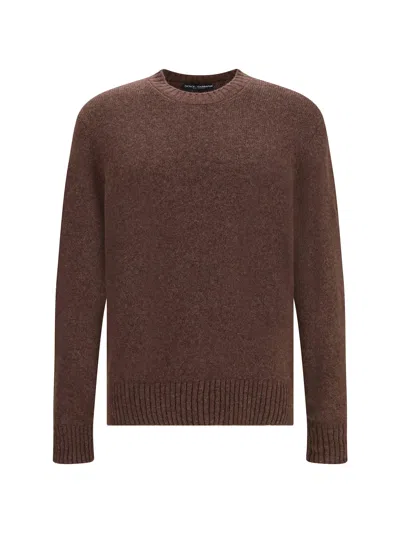 Dolce & Gabbana Crewneck Wool Sweater In Brown