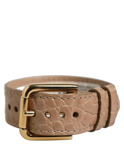 Dolce & Gabbana Croc-embossed Calf Leather Belt In Brown