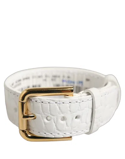 Dolce & Gabbana Crocodile-embossed Calf Leather Belt In White