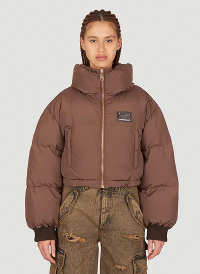 Dolce & Gabbana Crop Padded Jacket In Brown