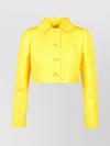 Dolce & Gabbana Monogram-jacquard Button-down Cropped Jacket
