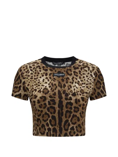 Dolce & Gabbana ? Cropped Logo Crew Neck T-shirt (size 40) - Short Sleeve 100% Cotton In Marrone