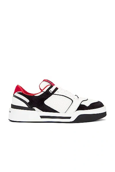 Dolce & Gabbana Leather And Mesh Sneaker In Multi