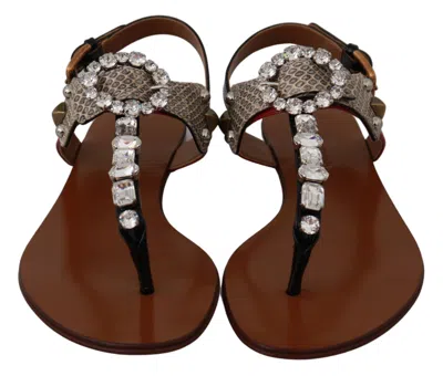 Dolce & Gabbana Crystal-embellished T-strap Sandals In Brown